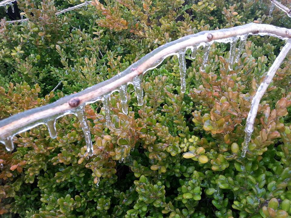 reader submitted: ice storm